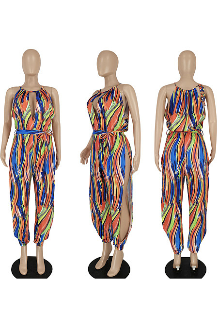 Loose color printed Jumpsuit FFE219