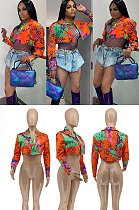 Crop Shirt Collar Jacket