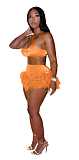 Halter Crop Top and Tassel Hem Shorts Set