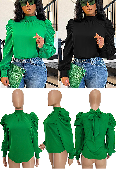 Long Puffy Sleeve Top