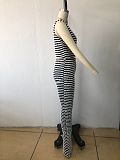 WHOLESALE | Teddy Material Zebra Pants Set