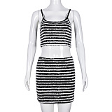 WHOLESALE | Teddy Material Zebra Skirt Set