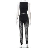 WHOLESALE | High Elastic Fabric Mesh Pants Set