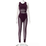 WHOLESALE | High Elastic Fabric Mesh Pants Set