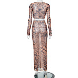 WHOLESALE | Chiffon Pattern Skirt Set