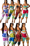 WHOLESALE | Color Panel Maxi Jumpsuit
