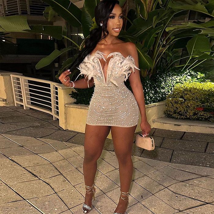 WHOLESALE | Back Zip Up Feather Deco Fake Pearl Dress