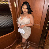 WHOLESALE | Back Zip Up Feather Deco Fake Pearl Dress