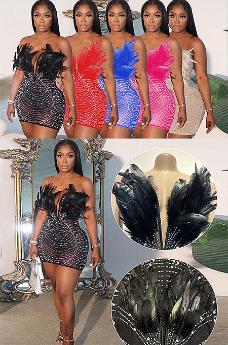 WHOLESALE | Back Zip Up Feather Deco Fake Pearl Dress