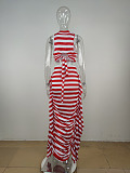 WHOLESALE | Zebra Skirt Set
