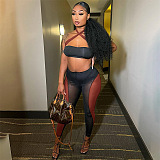 WHOLESALE | Halter Bra Top & Bodycon Pants