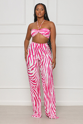 WHOLESALE | Zebra Two Tones Bra Pants Set