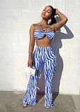 WHOLESALE | Zebra Two Tones Bra Pants Set