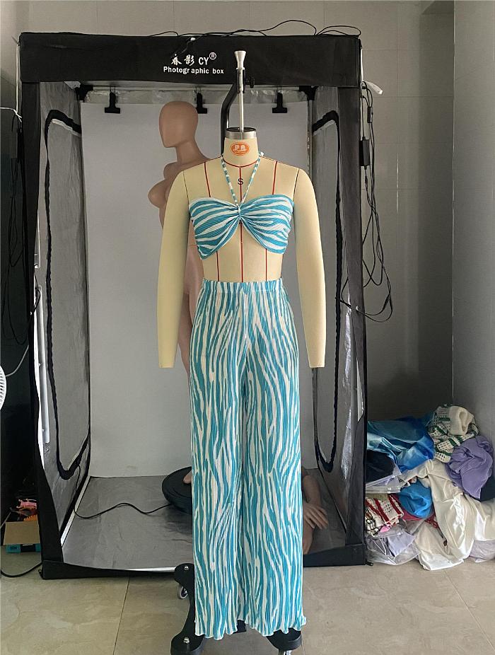 WHOLESALE | Zebra Two Tones Bra Pants Set