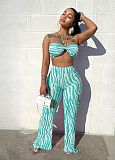 WHOLESALE | Zebra Two Tones Bra Pants Set