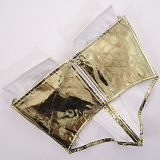 WHOLESALE | Shinning Back Zip Up Corset