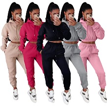 WHOLESALE | Hoodie Top Jogging Suit in Solid