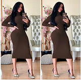 WHOELSALE | Turtle Neck Long Dress in Solid Color