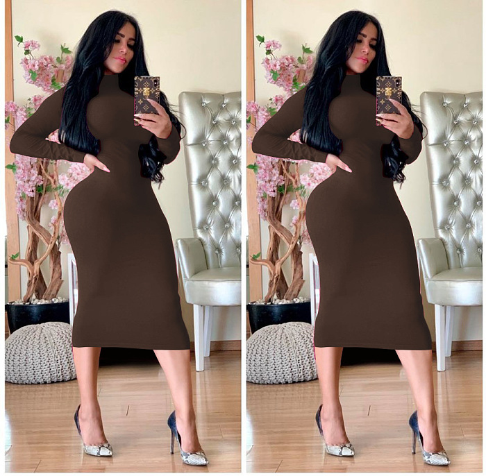 WHOELSALE | Turtle Neck Long Dress in Solid Color