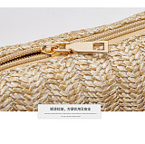 WHOELSALE | Flap Metal Purse