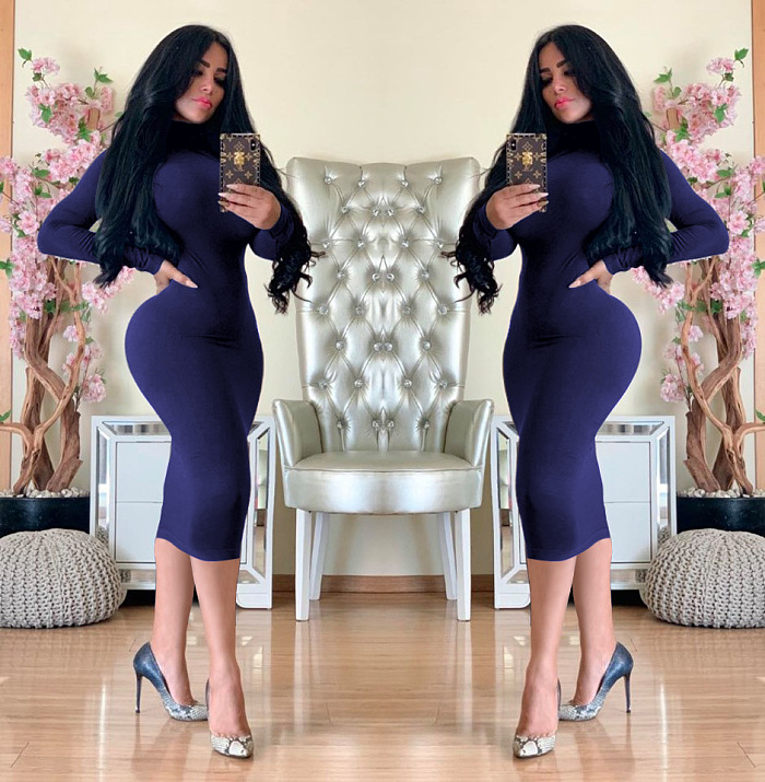 WHOELSALE | Turtle Neck Long Dress in Solid Color