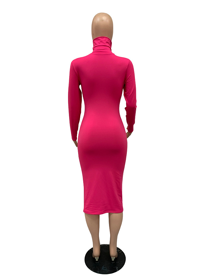 WHOELSALE | Turtle Neck Long Dress in Solid Color