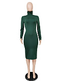 WHOELSALE | Turtle Neck Long Dress in Solid Color