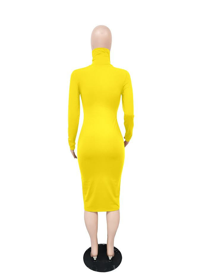 WHOELSALE | Turtle Neck Long Dress in Solid Color