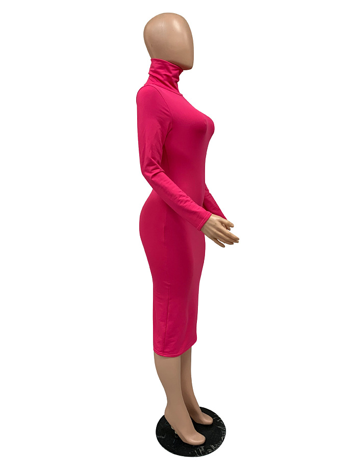WHOELSALE | Turtle Neck Long Dress in Solid Color