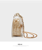 WHOELSALE | Flap Metal Purse