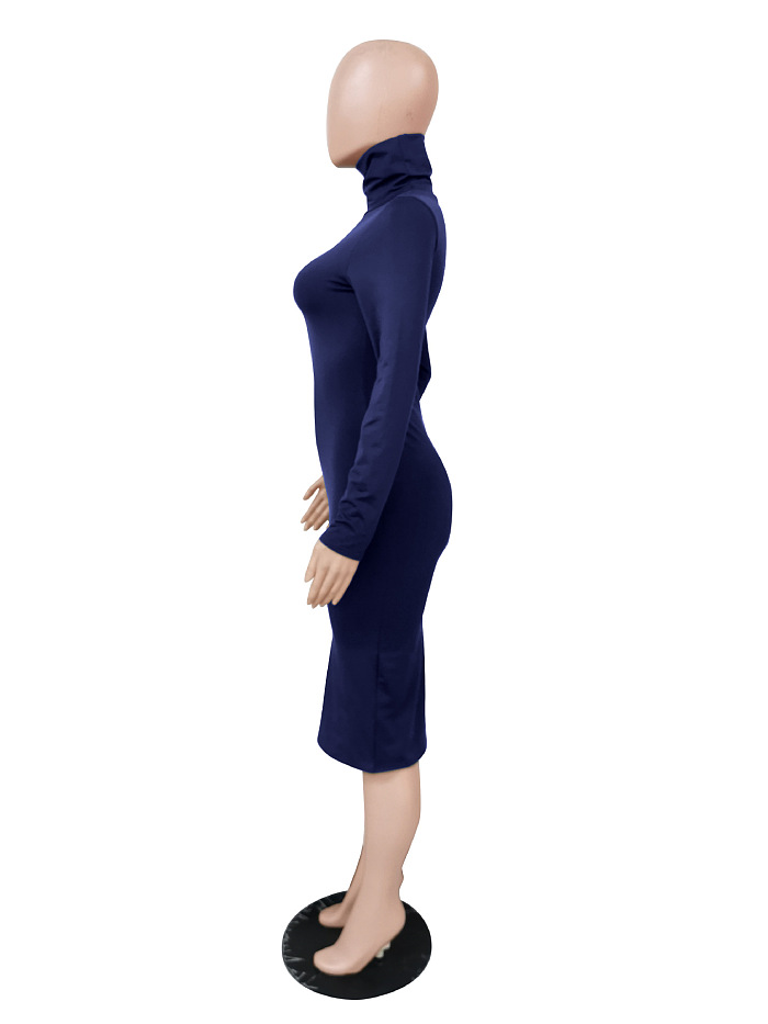 WHOELSALE | Turtle Neck Long Dress in Solid Color