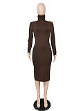 WHOELSALE | Turtle Neck Long Dress in Solid Color