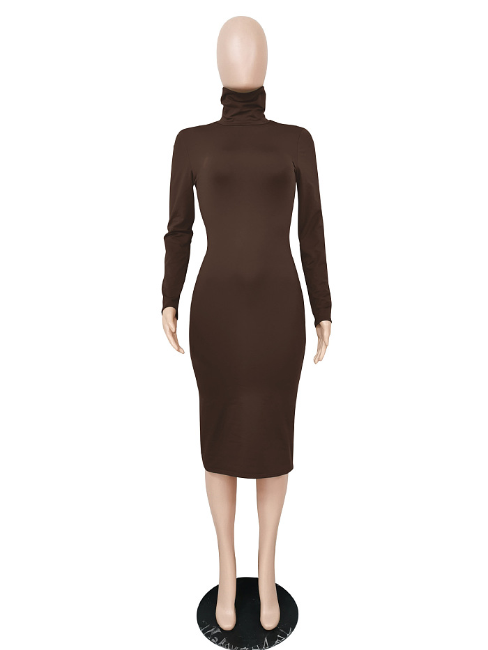 WHOELSALE | Turtle Neck Long Dress in Solid Color