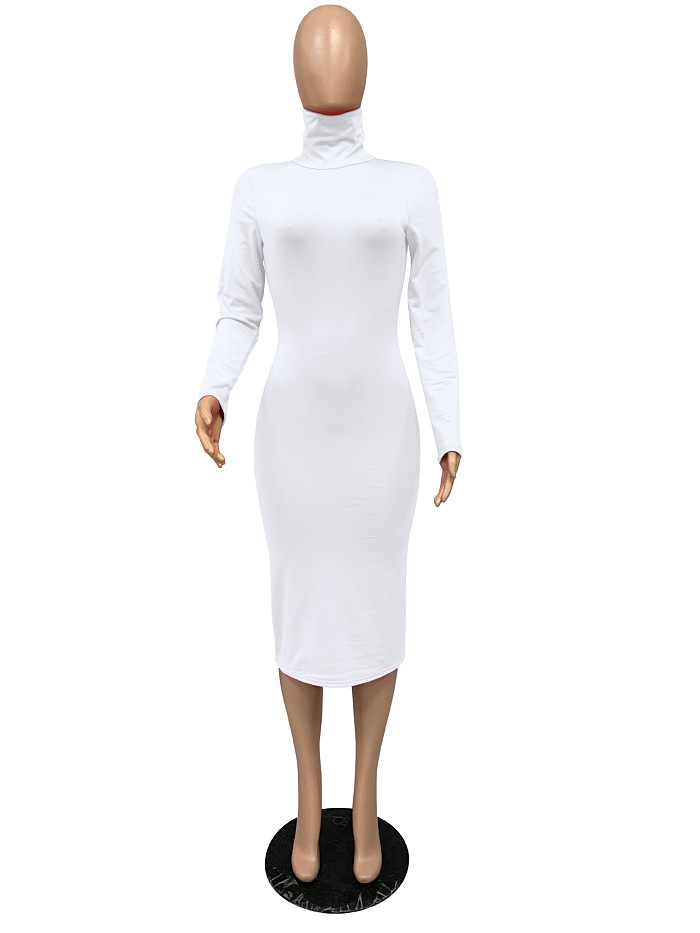 WHOELSALE | Turtle Neck Long Dress in Solid Color