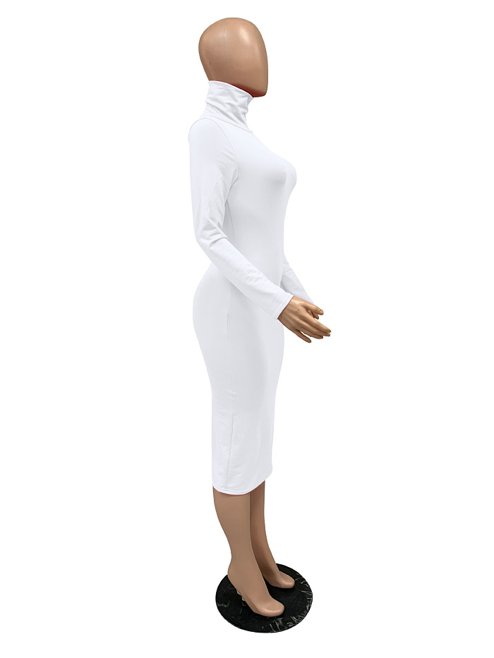 WHOELSALE | Turtle Neck Long Dress in Solid Color