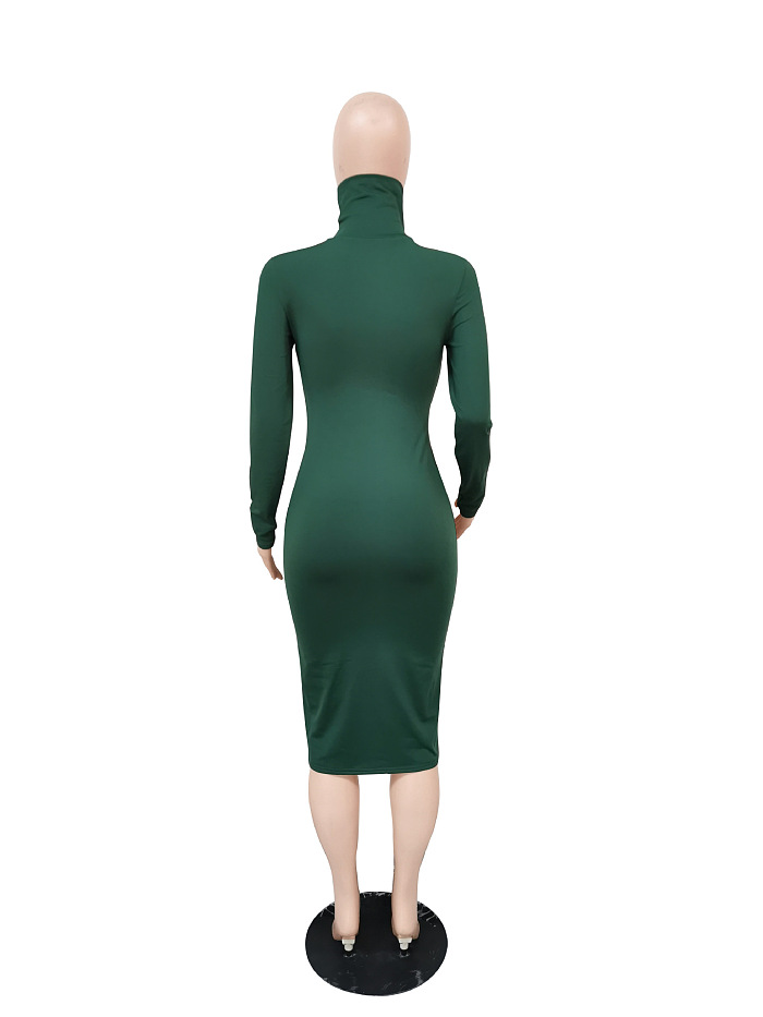 WHOELSALE | Turtle Neck Long Dress in Solid Color