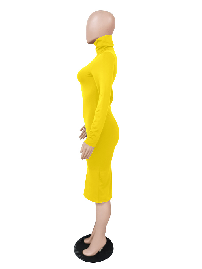 WHOELSALE | Turtle Neck Long Dress in Solid Color