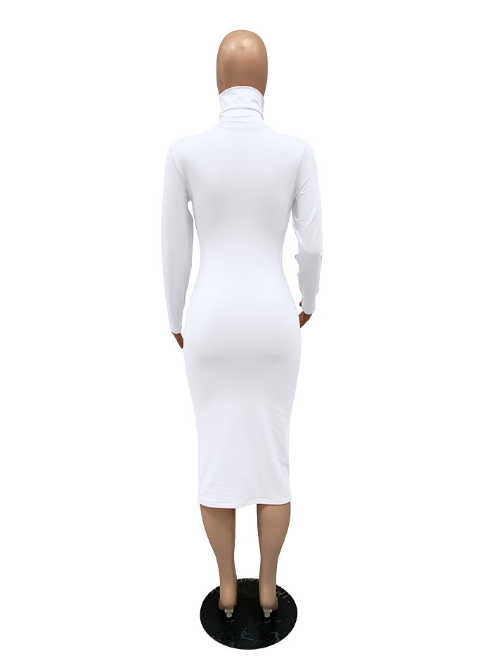 WHOELSALE | Turtle Neck Long Dress in Solid Color
