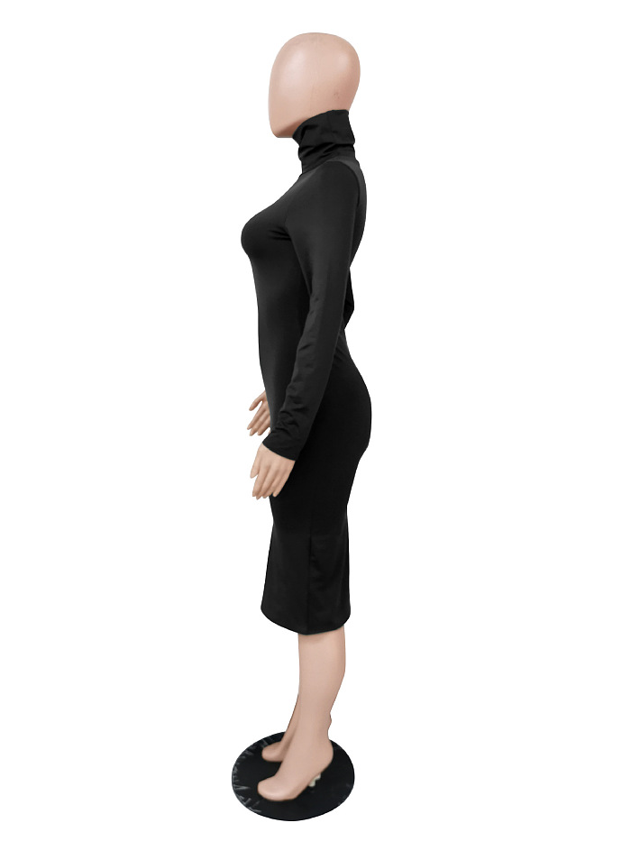 WHOELSALE | Turtle Neck Long Dress in Solid Color