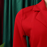 SUPER WHOLESALE |  Ultimate Pleated Mini Dress with Collar in Red
