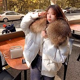 SUPER WHOLESALE | Very Thick Puffy Jacket with Feather Neck