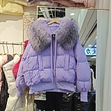 SUPER WHOLESALE | Very Thick Puffy Jacket with Feather Neck