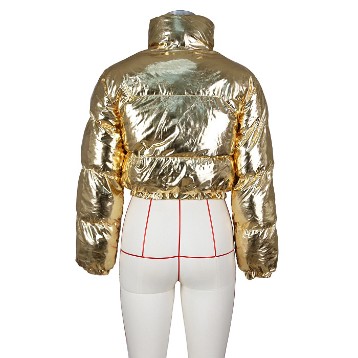 SUPER WHOLESALE | Shinning Fabric Turtle Neck Down Coat in Gold