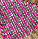 SUPER WHOLESALE | Rhinestone Beaded Bikini