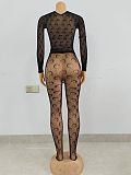 SUPER WHOLESALE | Mesh Pants Set in Black