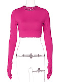 SUPER WHOLESALE |  Elastic Crop Top