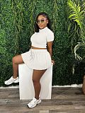 SUPER WHOLESALE| Hampton Pleated Skirt Set