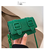SUPER WHOLESALE| Buckle Mini Purse