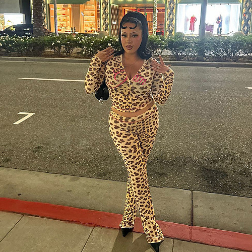 SUPER WHOLESALE | Leopard Hoodie Pants Set