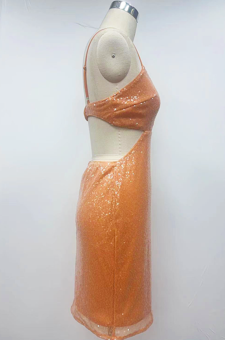 SUPER WHOLESALE | Sequins Maxi Dress